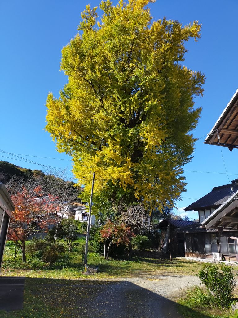 埼玉の動物園 植物園ランキングtop10 じゃらんnet