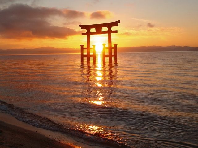 �S�������ʂ̓��̏o�V�[��_��颐_��