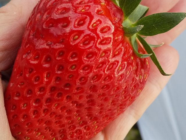 �傫���`��邩�ȁ[_�z���܂�_��