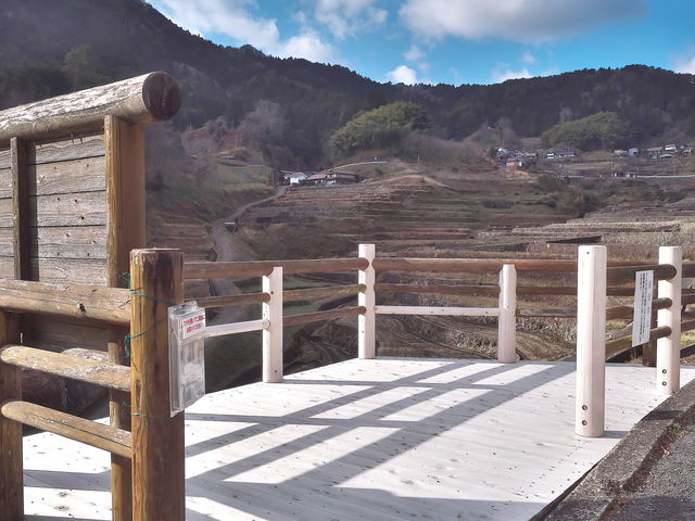 ��m�̒I�c�W�]��_��m�̒I�c