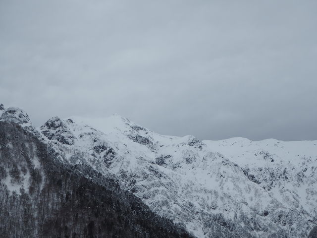 �k�A���v�X�勴����̒���_�k�A���v�X�勴