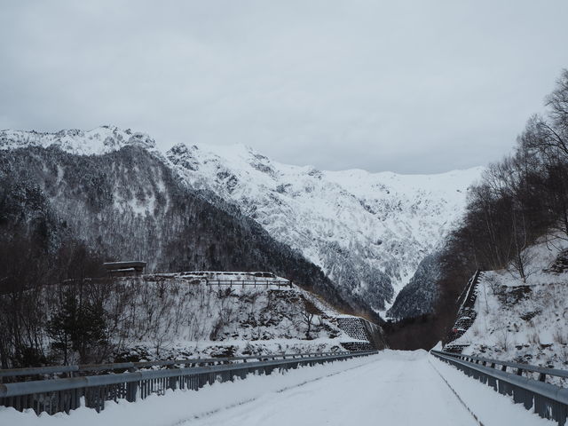 �k�A���v�X�勴_�k�A���v�X�勴