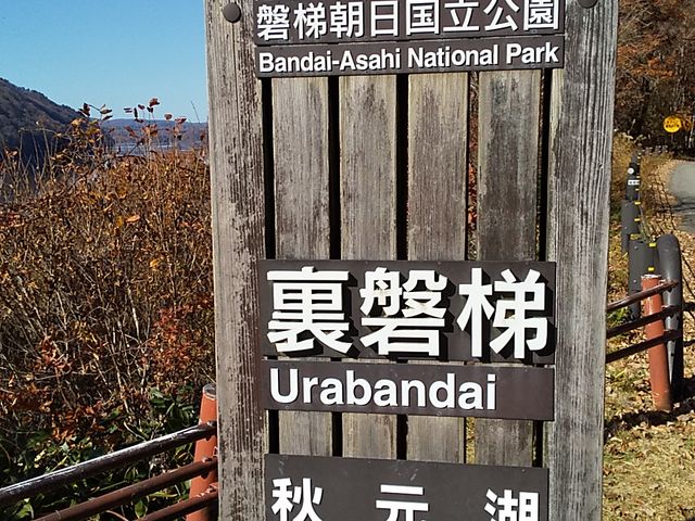 �Ώ��Q�̑f���炵���i�ς��]�߂܂��B_�֒��ȃ��[�N���C��