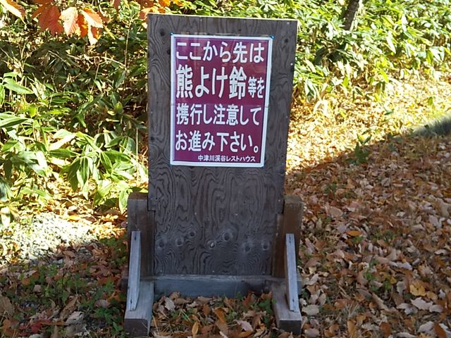 �F����ɏo��邩���ł��B_�֒��ȃ��[�N���C��