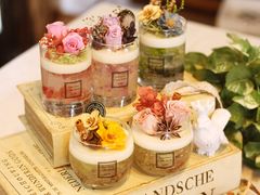 kayosanSEASONւ̓eʐ^2