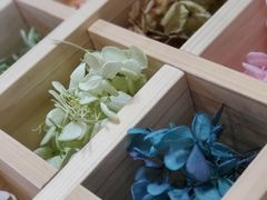 kayosanSEASONւ̓eʐ^4