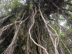 ܂񂳂̃u[tB[hւ̓eʐ^1