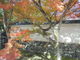 あおちゃんさんの天龍寺（京都府京都市）への投稿写真2