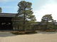あおちゃんさんの天龍寺（京都府京都市）への投稿写真4