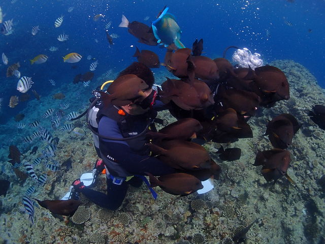 ���̐��������ł����ɕ�܂�Ă��܂����ˁB��_SUNNY DAYS