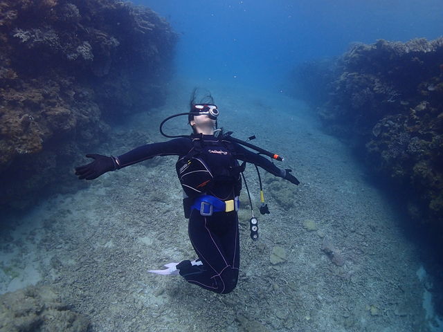 ӂC̐EցII_SUNNY DAYS