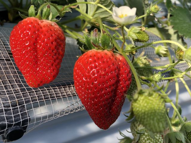 �^���ԂȂ��������������񂠂�܂���_�R���������_��