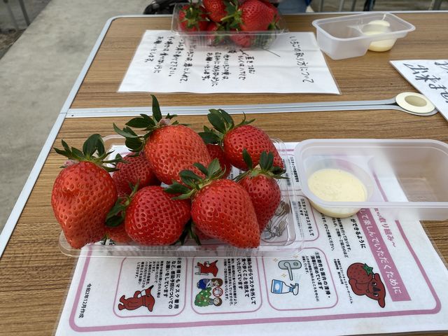 �������Ă��܂��ĕi�킪�킩��Ȃ�(��)_��{�ό��������g��