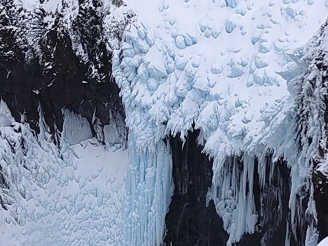 �t���y�̑�Ɠ�����_�m�����R�̌��v���O�������̎���