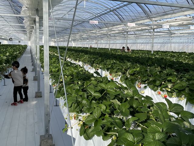 ����ł邢�������Ȃ��A�ǂ�������������ł����B
���������ς��ł��B_�_���N�o���Y�t�@�[��