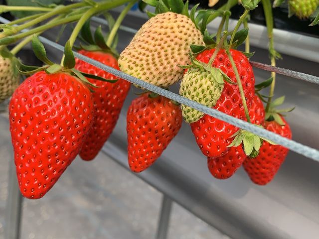 �K���Ȃ�����_������������