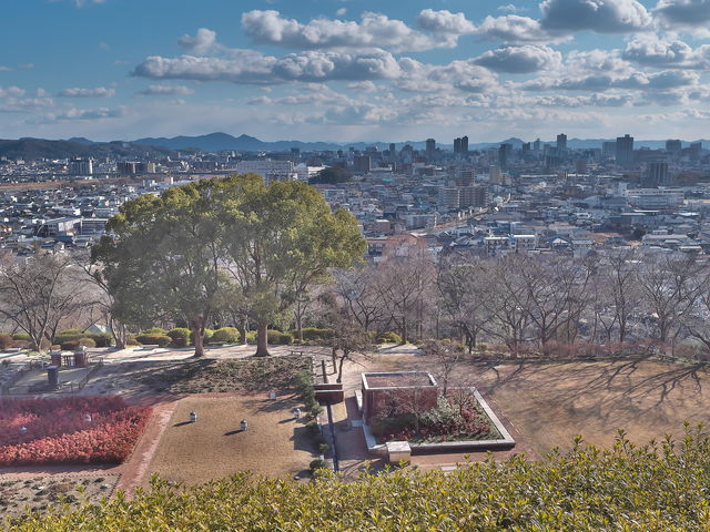 ���c�R�A����_���c�R�A����