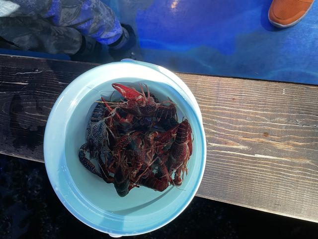 �U���K�j�ނ�_�ނ��Č�����ڂ�����̍��@�Ó�ޖx