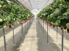 䂤񂳂̂₿悢t@[ւ̓eʐ^3