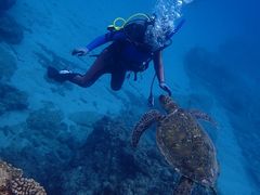 LmV^̃RY~bNA[Xւ̓eʐ^1