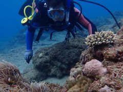 LmV^̃RY~bNA[Xւ̓eʐ^2