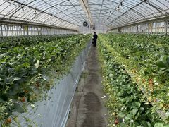 ݂񂳂̐V񂾔_ȉւ̓eʐ^1