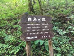 みきまささんの白糸の滝への投稿写真1