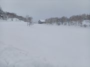 60̃Xm[{[h񂳂̎uꍂ R̉w̓eʐ^2