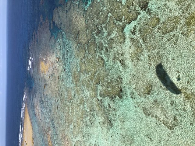 ���̉e���Y��ȊC�ł��B�����s���Ȃ為�Ђł��B_�����p���O���C�_�[�K�C�h�T�[�r�X�n�b�s�[�X�J�C