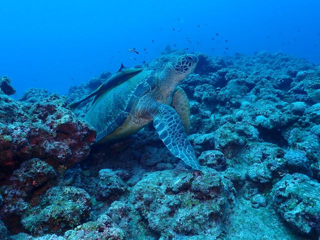 �A�I�����A���܂����ˁB_DS natura