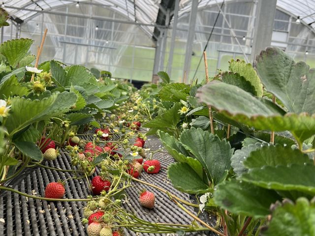 �t���b�V���ŊÂ�����_�����@��{�_��