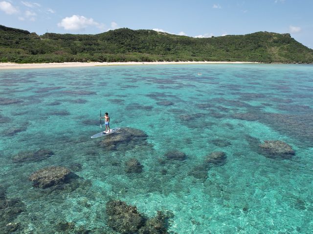 �h���[���̉f�����o���ł��I�I�ʐ^��������������܂����B_Cheerful �{�Ó�