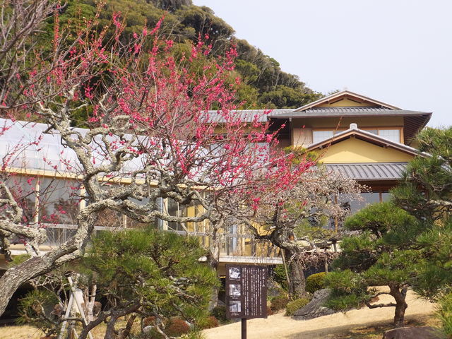 旧吉田茂邸_旧吉田茂邸