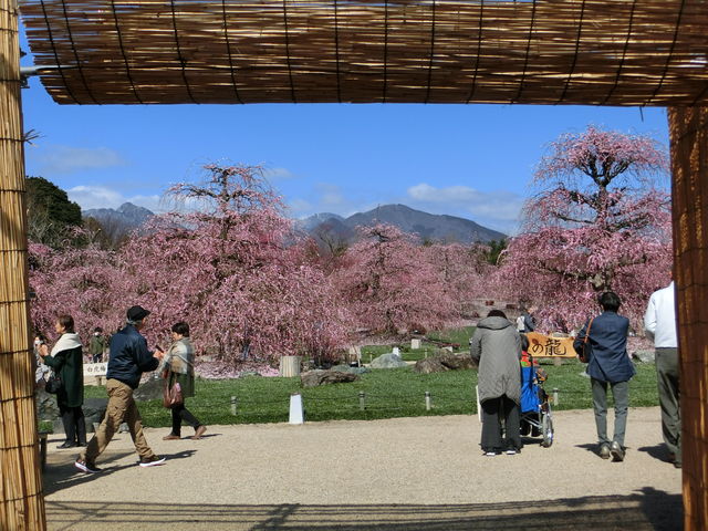 �鎭�̐X�@��������_�鎭�̐X�뉀