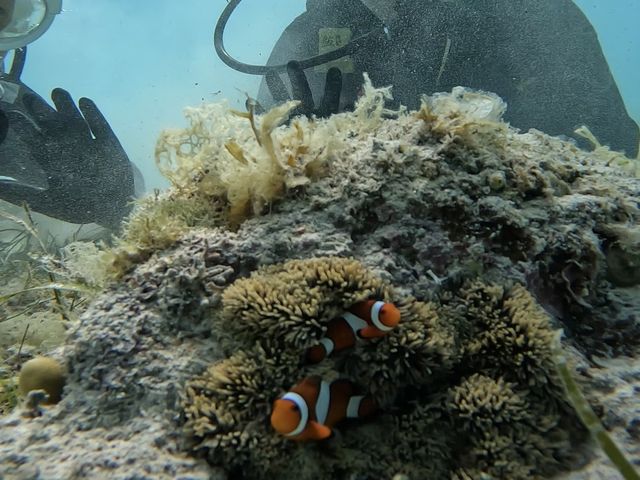 �_�C�r���O��_BIGHOLIDAY-TRIP