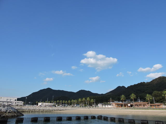 �����s�@�h���t�B���t�@�[�����܂Ȃ�_�h���t�B���t�@�[�����܂Ȃ�