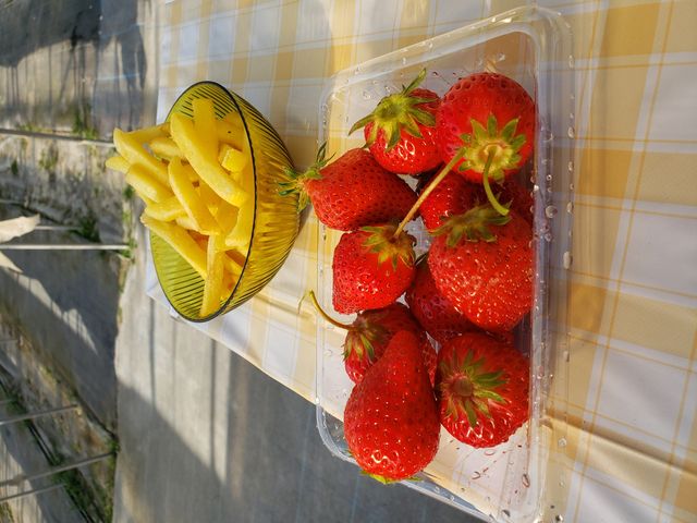 ������_�t���[�c�K�[�f���䂤