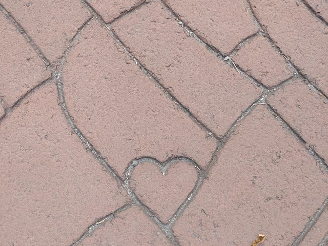 ₩񂳂NPO@l whό&̌̉̓eʐ^3