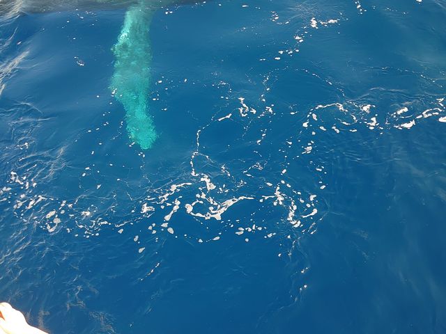 ����ė��Ă͂����܂��ċ����ÁX�ȗl�q�B
�C�{�C�{�Ȓ�������B_FACE