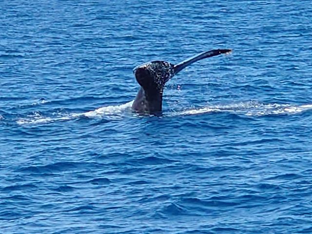 �������s�B_FACE