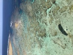 ܂񂳂̉pOC_[KChT[rXnbs[XJCւ̓eʐ^1