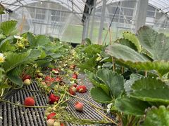 caoson̎@{_ւ̓eʐ^1