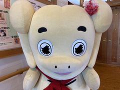 �Ƃ����񂳂�̂����݂̂���j�̌��قւ̓��e�ʐ^1