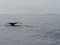 Ka.Ho.SeaWorldւ̓eʐ^2