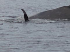 Ka.Ho.SeaWorldւ̓eʐ^3