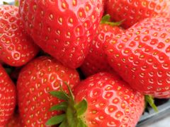 aaajoumonfarmi傤ӂ[ށjւ̓eʐ^1