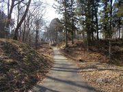 炳񂳂̑i哇隬j̓eʐ^5