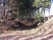 炳񂳂̑i哇隬j̓eʐ^6