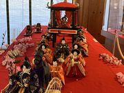 Ƃ񂳂̂݂̂ǰق̓eʐ^5