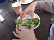 ₩񂳂NPO@l whό&̌̉̓eʐ^2